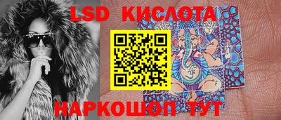 Альфа ПВП Магадан