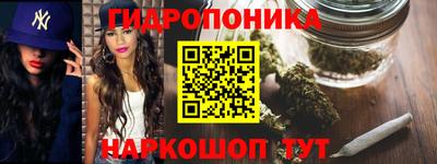 a pvp Заволжье