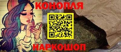 гашик Жуковский