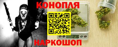 гашик Жуковский