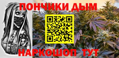 альфа пвп Заводоуковск