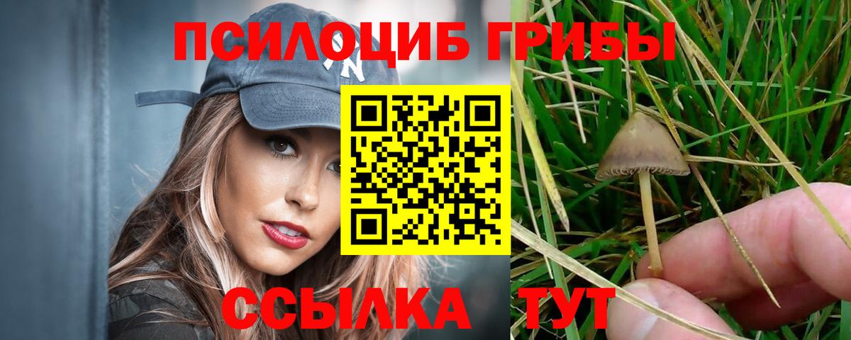Набережные Челны  Галлюциногенные грибы Psilocybe  Вход с VPN  Псилоцибиновые грибы GOLDEN TEACHER 
