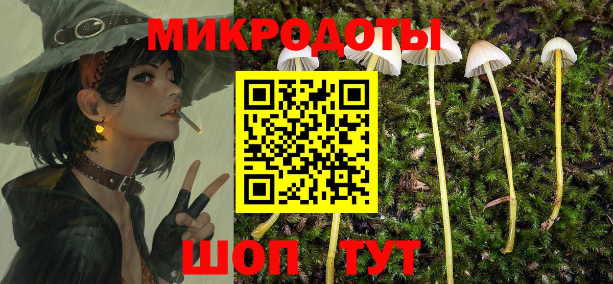 Галлюциногенные грибы Psilocybe Набережные Челны